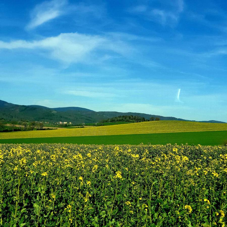 Agroturystyka Sielska Kraina 希隆斯克地区宗布科维采 外观 照片