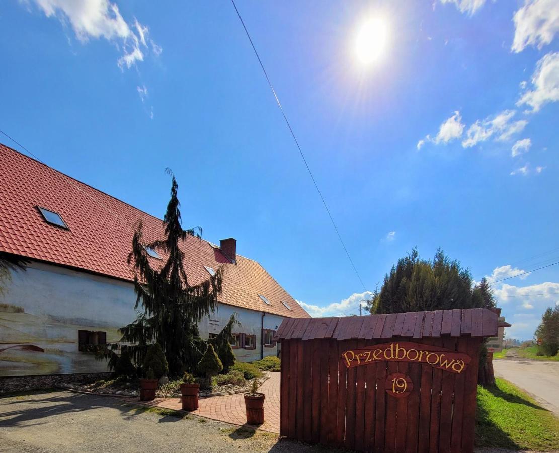 Agroturystyka Sielska Kraina 希隆斯克地区宗布科维采 外观 照片