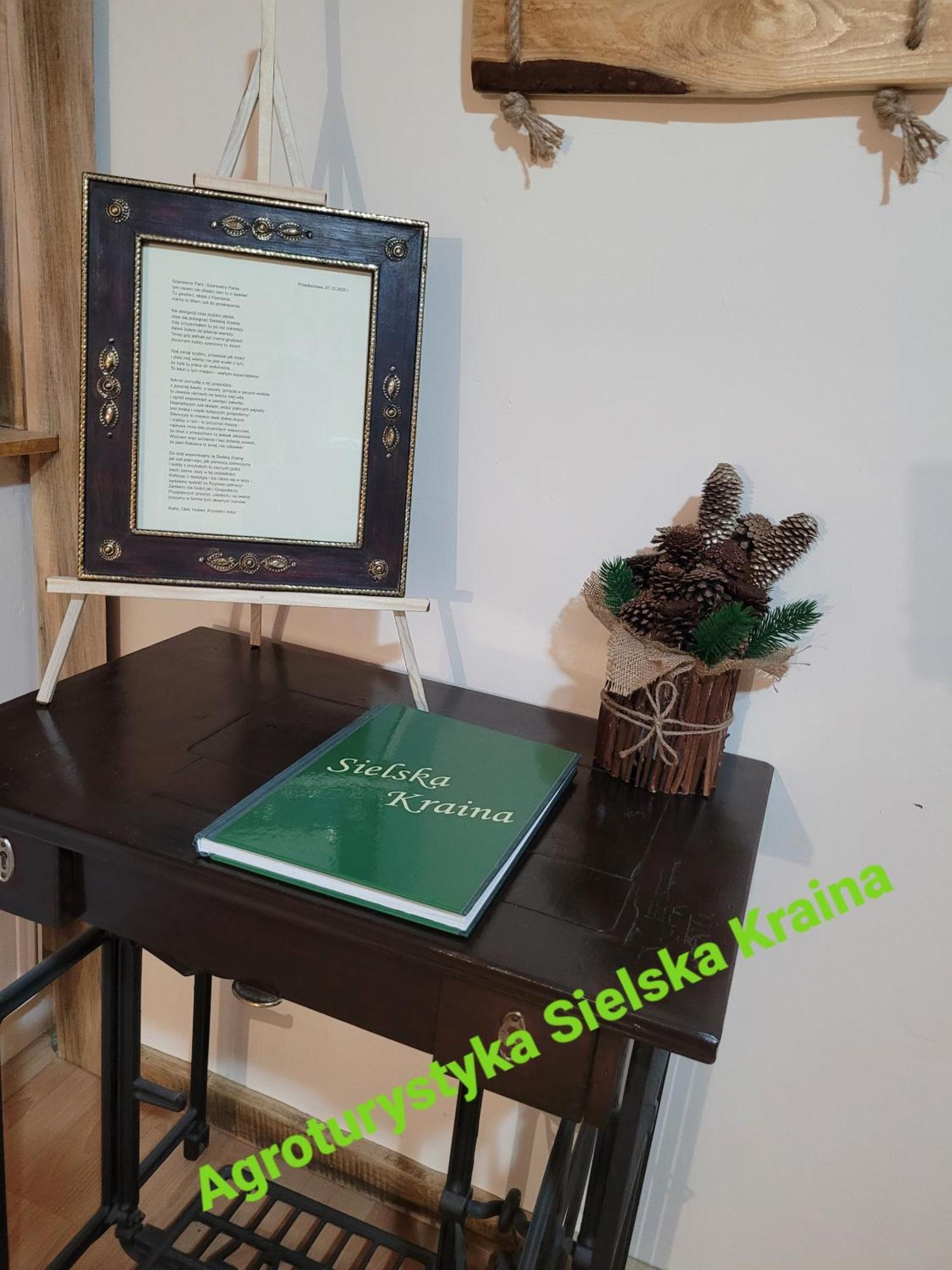 Agroturystyka Sielska Kraina 希隆斯克地区宗布科维采 外观 照片